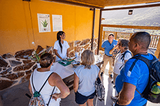 Finca Canarias gallery 1