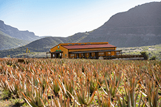 Finca Canarias gallery 6