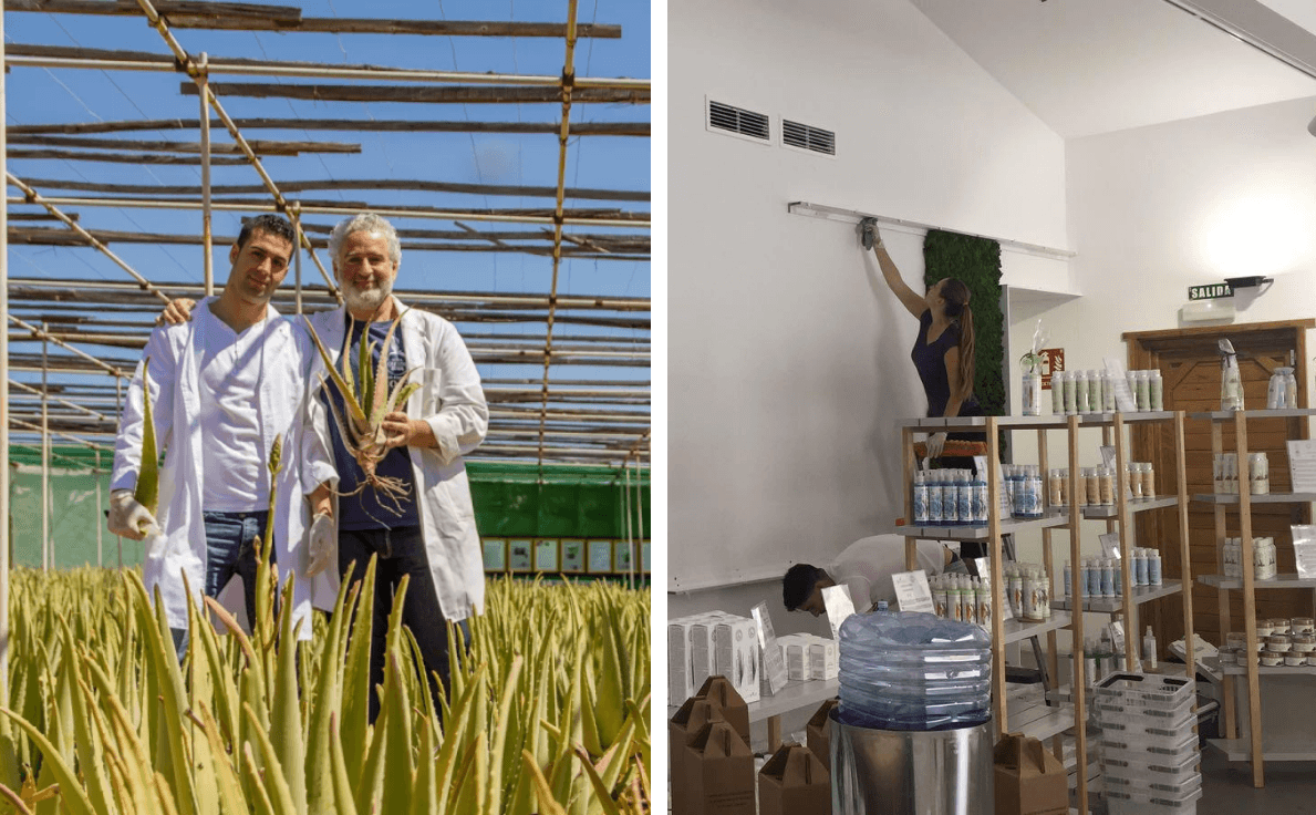 Founders in a Finca Canarias aloe vera field